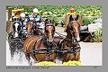 Christoph Sandmann, WEG 2002 Jerez de la Frontera ESP