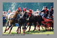 Werner Ulrich SUI, CHIO Aachen GER 2002