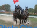 SM 2003 Chancy GE, Hindernisfahren