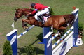 CSIO Luzern 2004