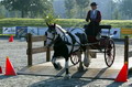 SM Fahren 2004, Bern