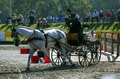 SM fahren 2004, Bern