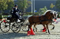 SM Fahren 2004, Bern