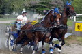 SM Fahren 2004, Bern