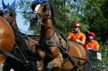 SM Fahren 2004, Bern