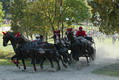 SM Fahren 2004, Bern