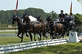 Stefan Kläy Wachtebecke 2004, Dressur