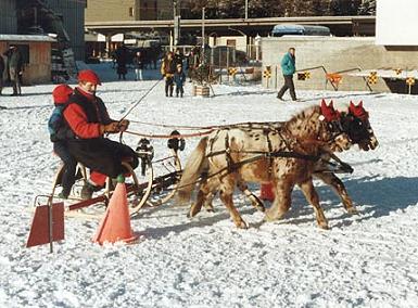 Davos 1990