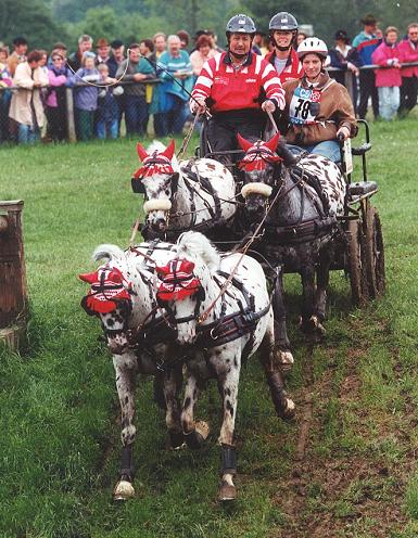 Frauenfeld 1994